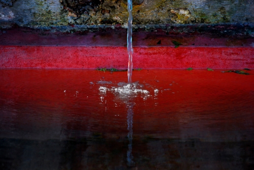 Tras el Cristal I |Fotografía de Ana Sanz Llorens | Compra arte en Flecha.es