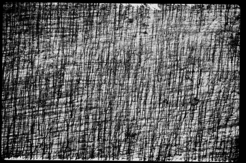 Bosque |Digital de Juan de la Sota | Compra arte en Flecha.es