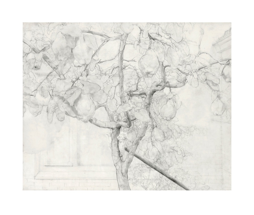 Membrillero |Obra gráfica de Antonio López | Compra arte en Flecha.es