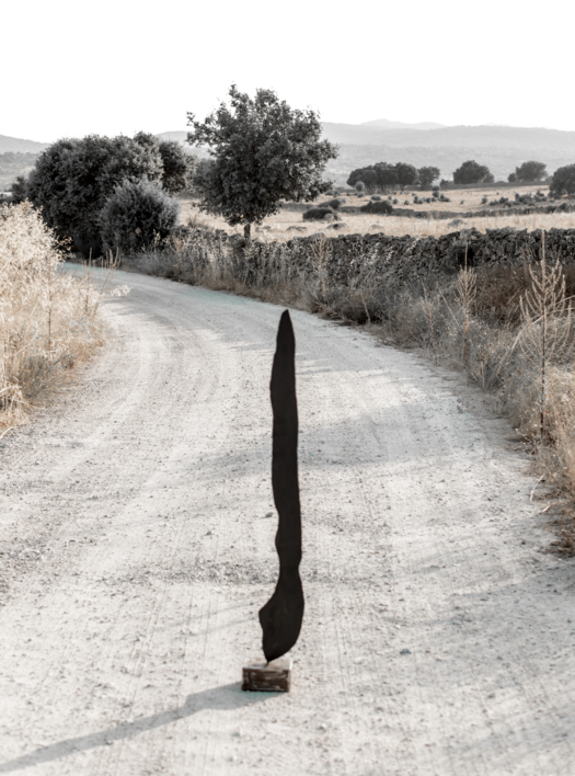 C2, Proyecto Dualidad |Escultura de Carmen Mora | Compra arte en Flecha.es