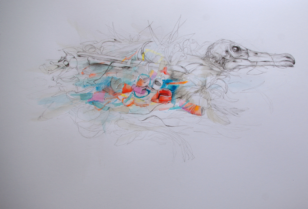 Colorful plastic |Dibujo de Leticia Gaspar | Compra arte en Flecha.es