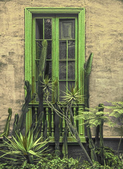 Window, Lima, 2019 |Fotografía de Andy Sotiriou | Compra arte en Flecha.es