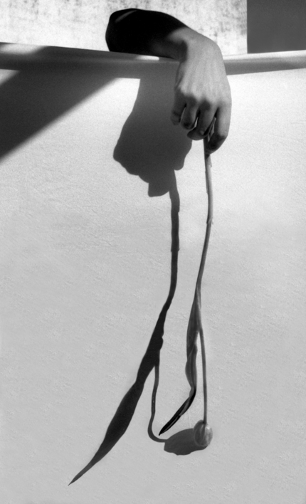 10:00, Inire (serie) |Fotografía de Paula González | Compra arte en Flecha.es