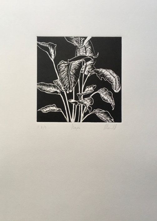 HOJAS |Obra gráfica de Mónica Torres | Compra arte en Flecha.es