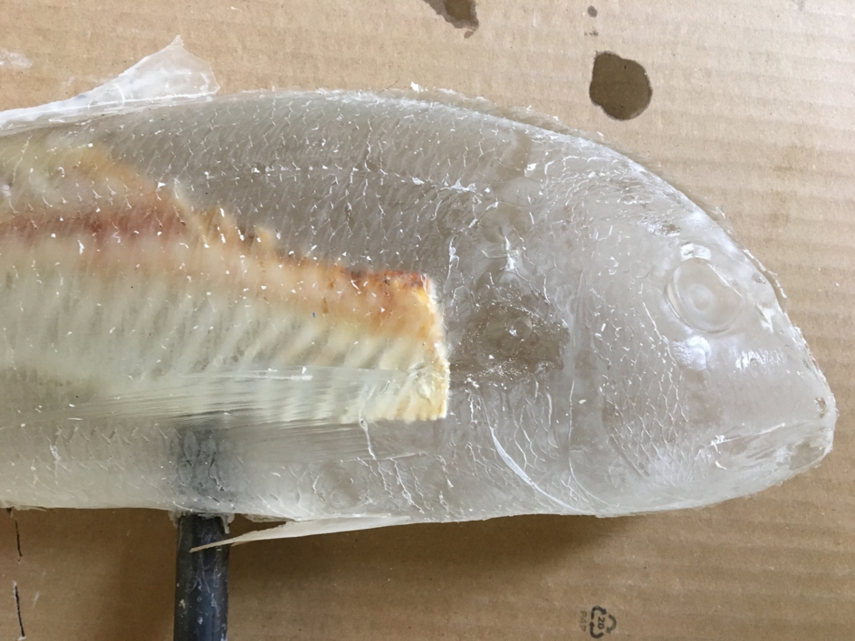 Fishbone | Escultura de Lisa | Compra arte en Flecha.es