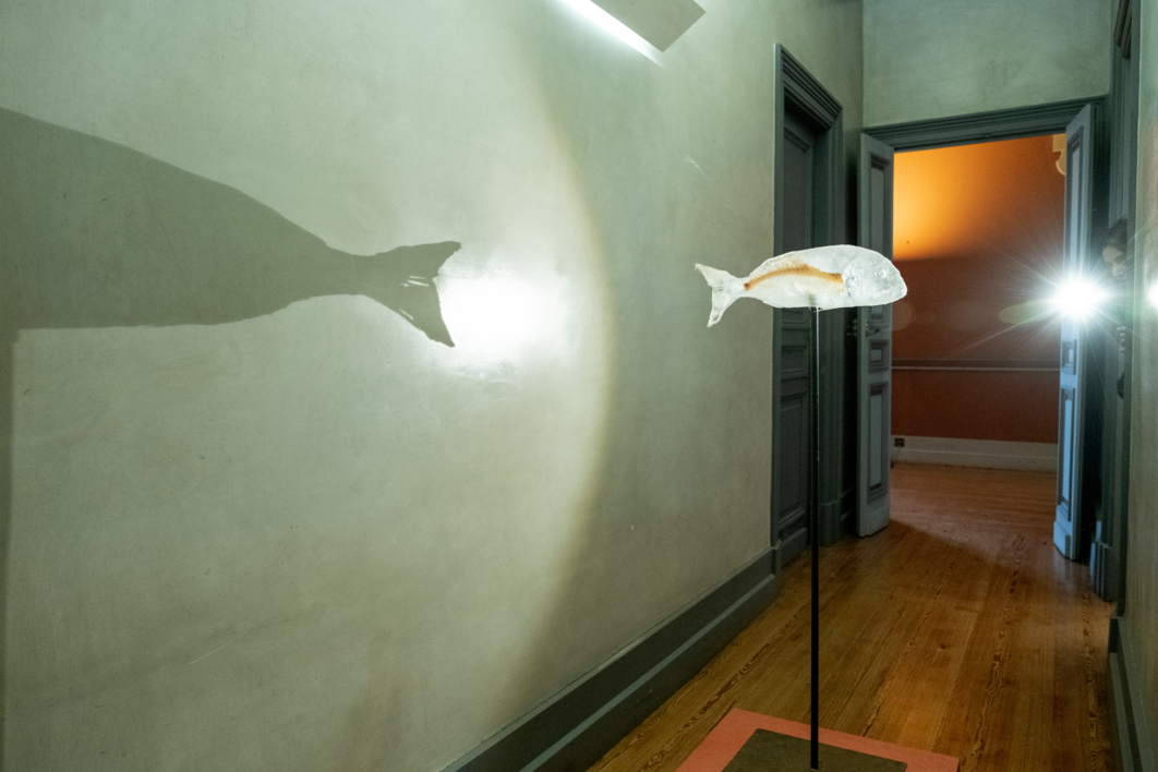Fishbone | Escultura de Lisa | Compra arte en Flecha.es
