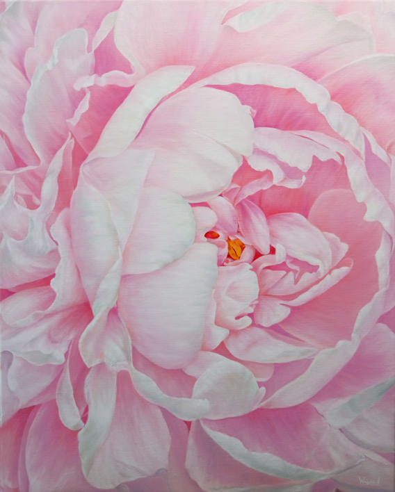 FLORES. LA TIERNA PEONIA. |Pintura de Anastasia Woron | Compra arte en Flecha.es