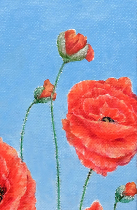 Amapolas sobre azul. | Pintura de Anastasia Woron | Compra arte en Flecha.es