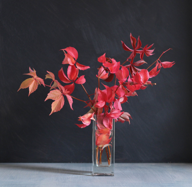 Otoño rojo1 |Fotografía de Laura de cardenas | Compra arte en Flecha.es
