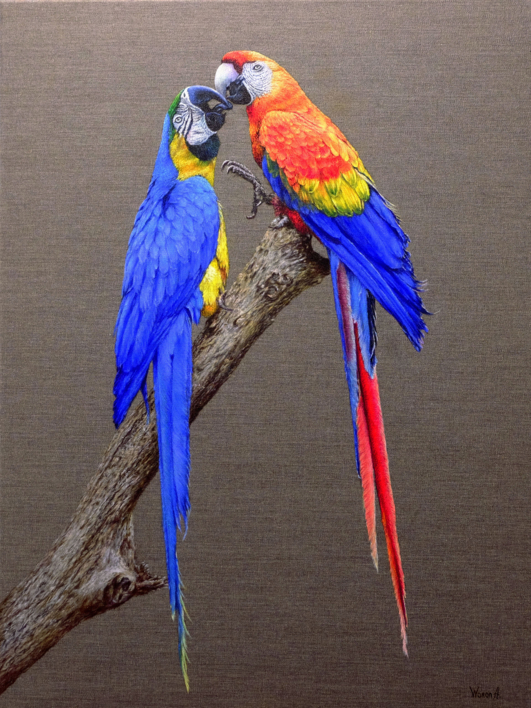 Dos Guacamayos Enamorados. |Pintura de Anastasia Woron | Compra arte en Flecha.es