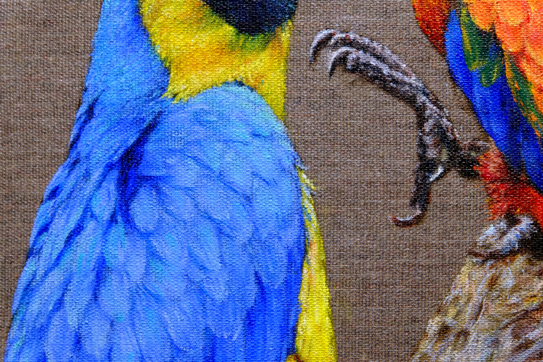 Dos Guacamayos Enamorados. | Pintura de Anastasia Woron | Compra arte en Flecha.es