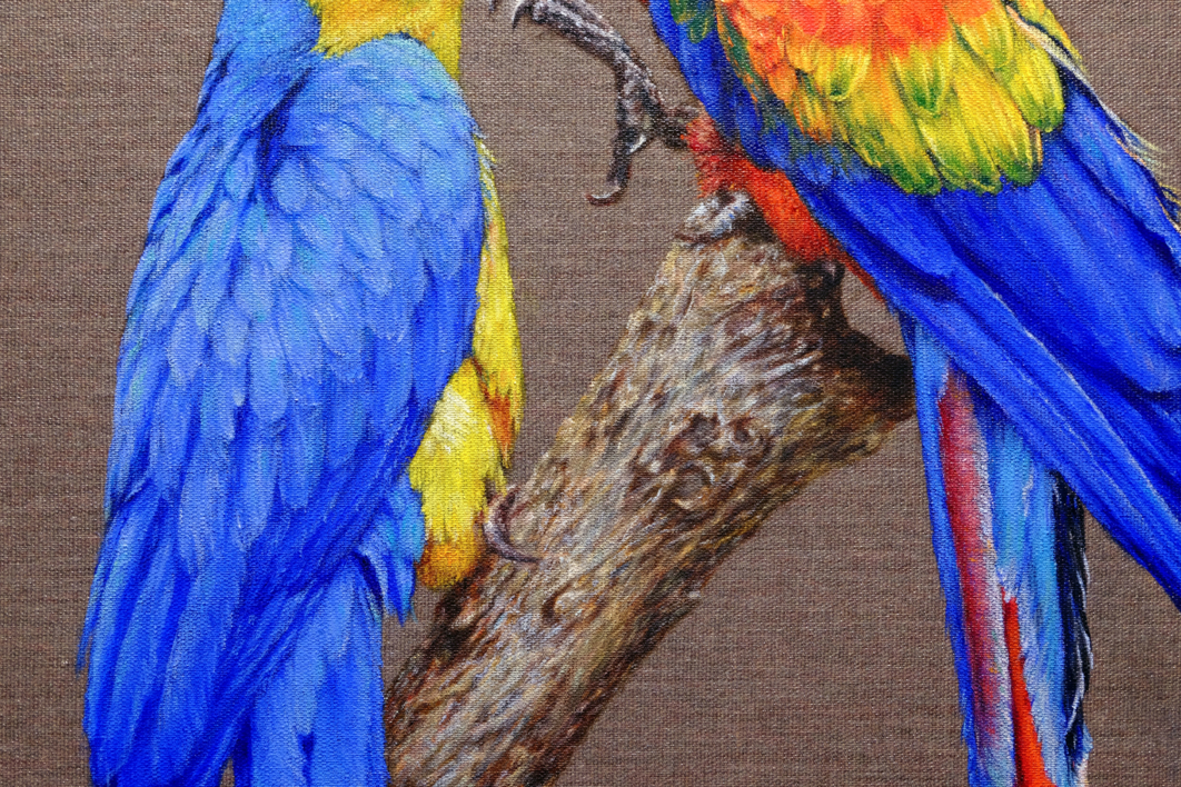 Dos Guacamayos Enamorados. | Pintura de Anastasia Woron | Compra arte en Flecha.es