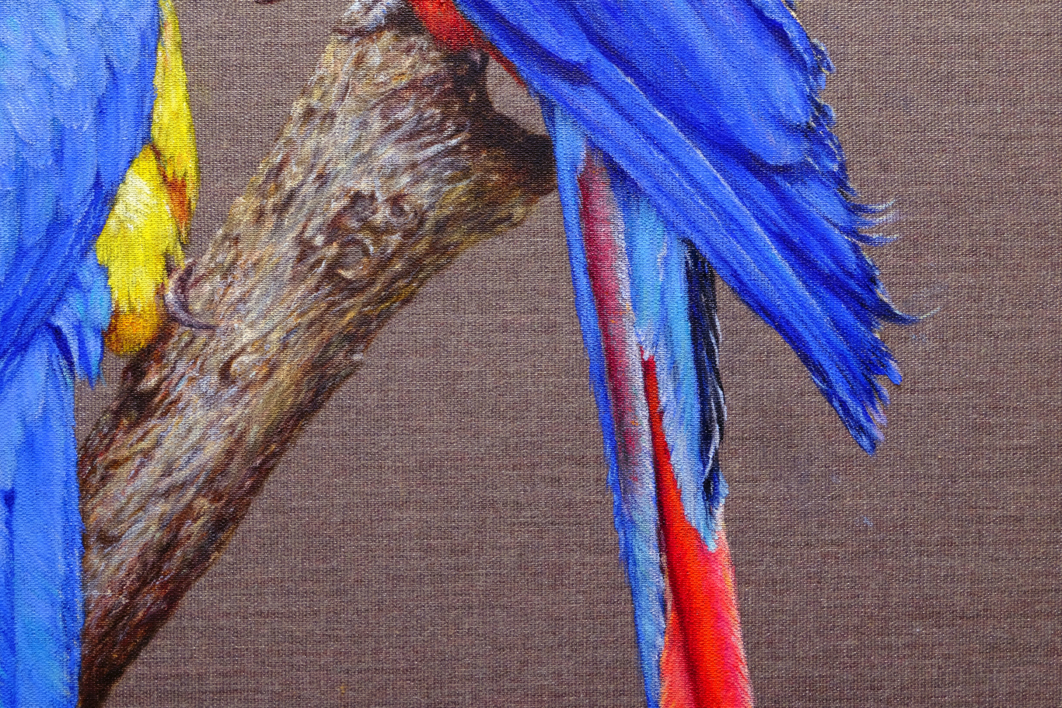 Dos Guacamayos Enamorados. | Pintura de Anastasia Woron | Compra arte en Flecha.es