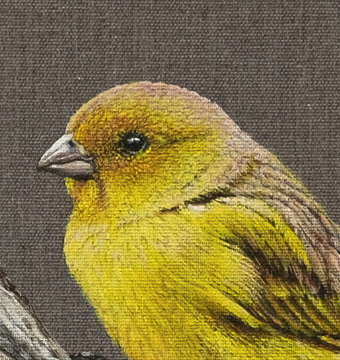 El Canario Amarillo. | Pintura de Anastasia Woron | Compra arte en Flecha.es