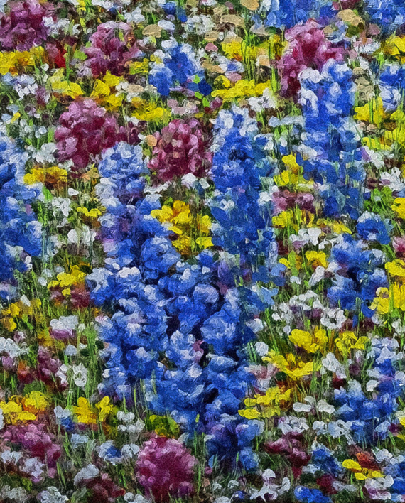 El Campo de Flores Silvestres . | Pintura de Anastasia Woron | Compra arte en Flecha.es