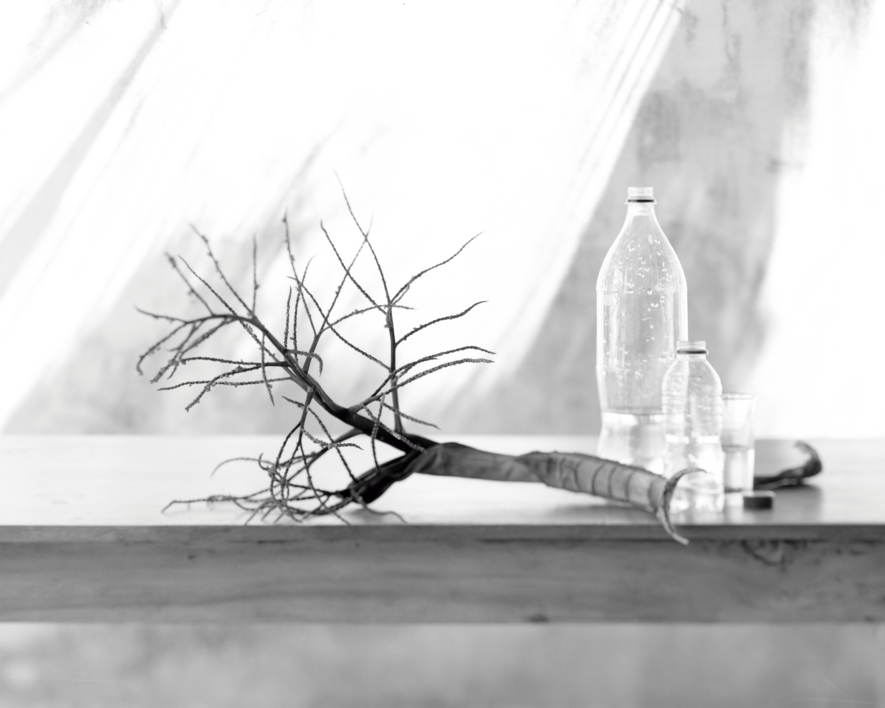 Bodegones Cotidianos 02/2016 |Fotografía de Pasquale Caprile | Compra arte en Flecha.es