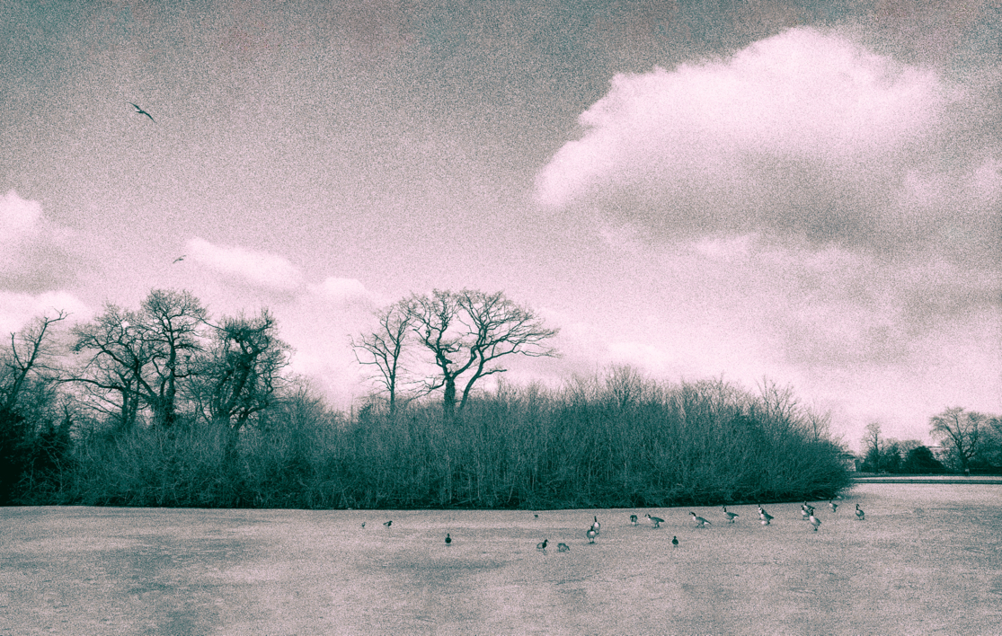Lago congelado #02 |Fotografía de Andy Sotiriou | Compra arte en Flecha.es
