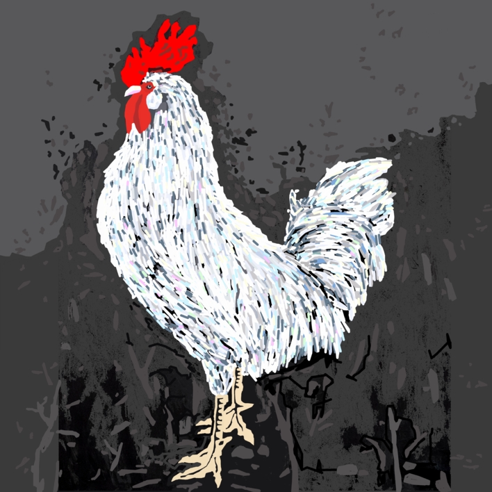 Gallus Mysticus (61x61cm) |Dibujo de ALEJOS | Compra arte en Flecha.es