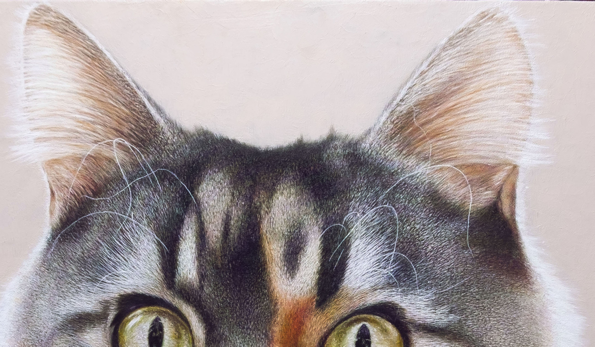 El Gato. El Gato Pelirojo. | Pintura de Anastasia Woron | Compra arte en Flecha.es