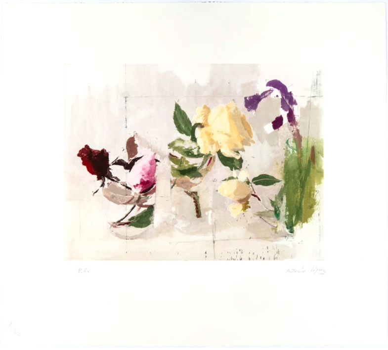 Rosas de Año Nuevo |Dibujo de Antonio López | Compra arte en Flecha.es