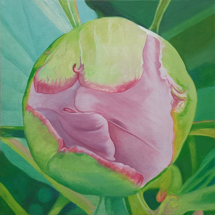 Brote de peonía 5 |Pintura de Carmen Varela | Compra arte en Flecha.es