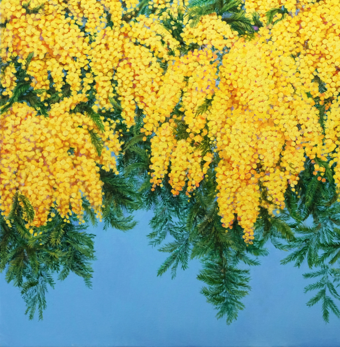 Mimosas en flor. | Pintura de Anastasia Woron | Compra arte en Flecha.es