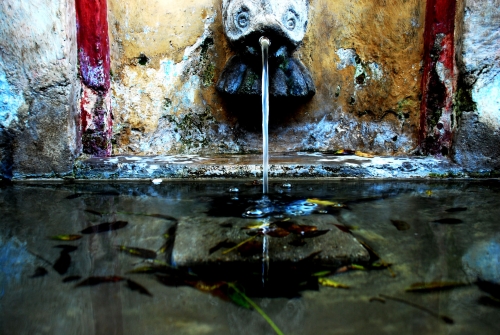 Tras el Cristal II |Fotografía de Ana Sanz Llorens | Compra arte en Flecha.es