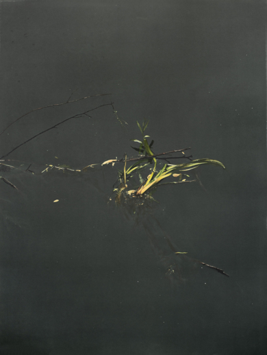 Lo que flota resiste II|Obra gráficadeCarmen Isasi| Compra arte en Flecha.es