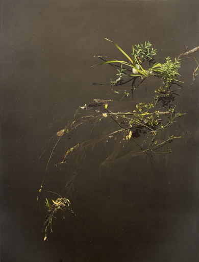 Lo que flota resiste III|Obra gráficadeCarmen Isasi| Compra arte en Flecha.es