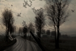 Icy Road II | Fotografía de Ana Sanz Llorens | Compra arte en Flecha.es
