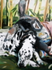 Mid Winter´s Daydream | Pintura de Elinor Evans | Compra arte en Flecha.es