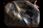 Hoja | Digital de Juan de la Sota | Compra arte en Flecha.es