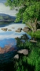 Lago de Sanabria | Pintura de Tomás Guzmán | Compra arte en Flecha.es