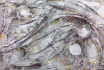 Opus II | Pintura de xisco | Compra arte en Flecha.es