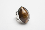 Anillo de plata 950 y caracol marrón | Joyería de Ester Ventura | Compra arte en Flecha.es