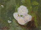 Rosas 21 | Pintura de Ignacio Mateos | Compra arte en Flecha.es