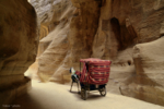 WAY TO PETRA | Fotografía de Yabar | Compra arte en Flecha.es