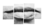 Metamorphosis IV | Fotografía de albametzger | Compra arte en Flecha.es