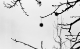 18:20, Inire (serie) | Fotografía de Paula González | Compra arte en Flecha.es