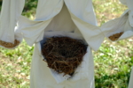 Nesting | Escultura de Patricia Glauser | Compra arte en Flecha.es
