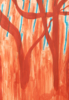Shadows of a forgotten plant | Dibujo de Lisa | Compra arte en Flecha.es