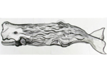 Cachalote | Dibujo de Lisa | Compra arte en Flecha.es