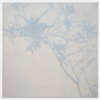 Magnolio. Transparencia II | Pintura de Manuel Luca de tena | Compra arte en Flecha.es