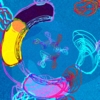 Al microscopio | Dibujo de James Swan | Compra arte en Flecha.es