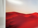 Sunset on the Sahara | Fotografía de Viet Ha Tran | Compra arte en Flecha.es