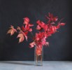 Otoño rojo1 | Fotografía de Laura de cardenas | Compra arte en Flecha.es
