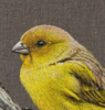 El Canario Amarillo. | Pintura de Anastasia Woron | Compra arte en Flecha.es