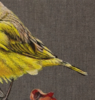 El Canario Amarillo. | Pintura de Anastasia Woron | Compra arte en Flecha.es