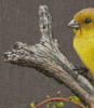 El Canario Amarillo. | Pintura de Anastasia Woron | Compra arte en Flecha.es