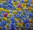 El Campo de Flores Silvestres . | Pintura de Anastasia Woron | Compra arte en Flecha.es